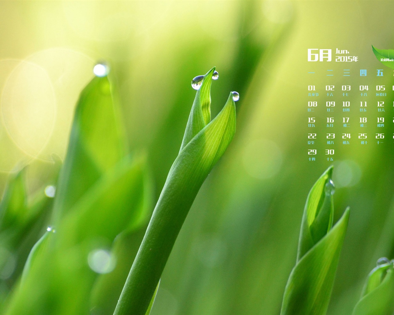 Juni 2015 Kalender Wallpaper (1) #17 - 1280x1024