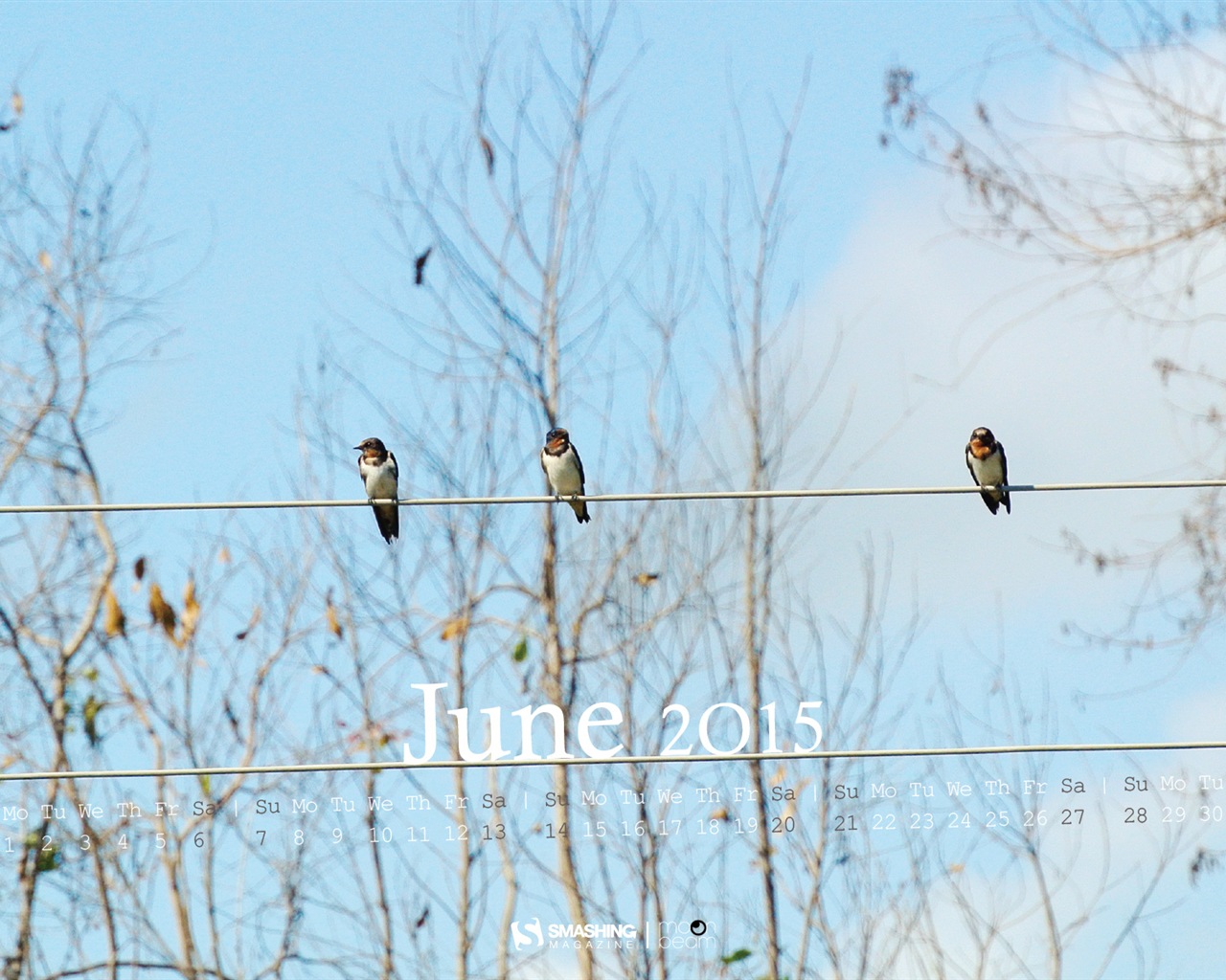 June 2015 calendar wallpaper (2) #15 - 1280x1024