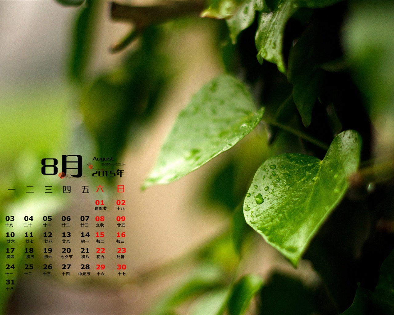 August 2015 Kalender Wallpaper (1) #11 - 1280x1024