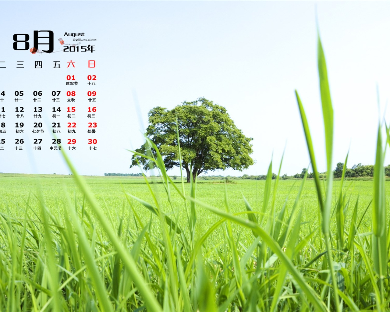 August 2015 calendar wallpaper (1) #13 - 1280x1024