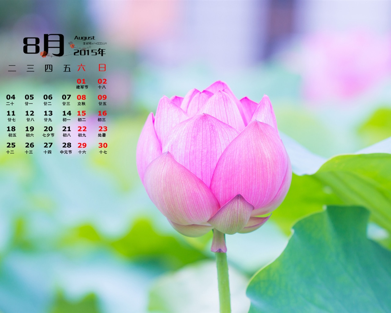 August 2015 Kalender Wallpaper (1) #15 - 1280x1024