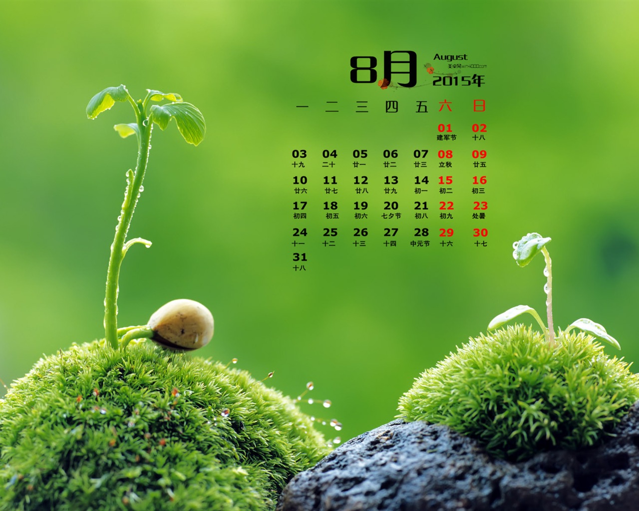 2015年8月 月历壁纸(一)16 - 1280x1024