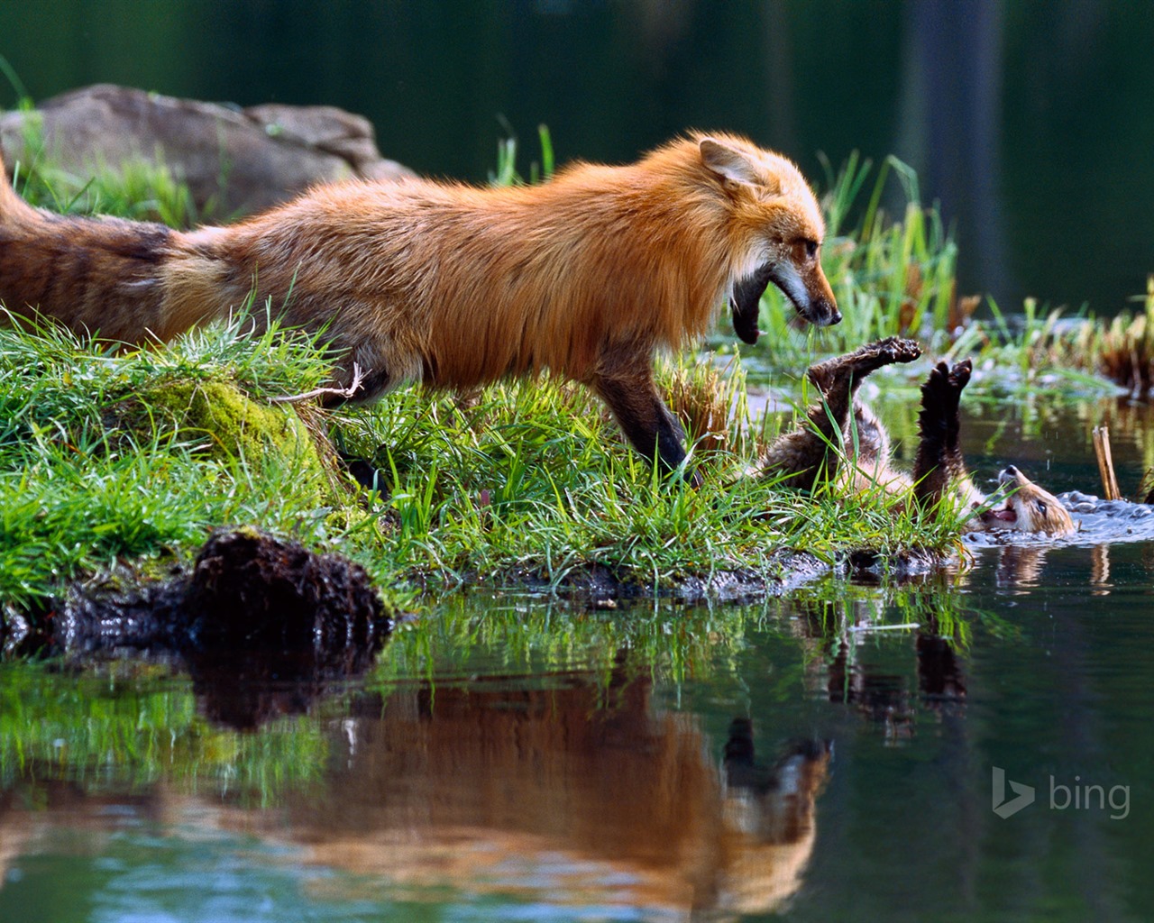 Abril de 2015 fondos de pantalla HD Bing #9 - 1280x1024