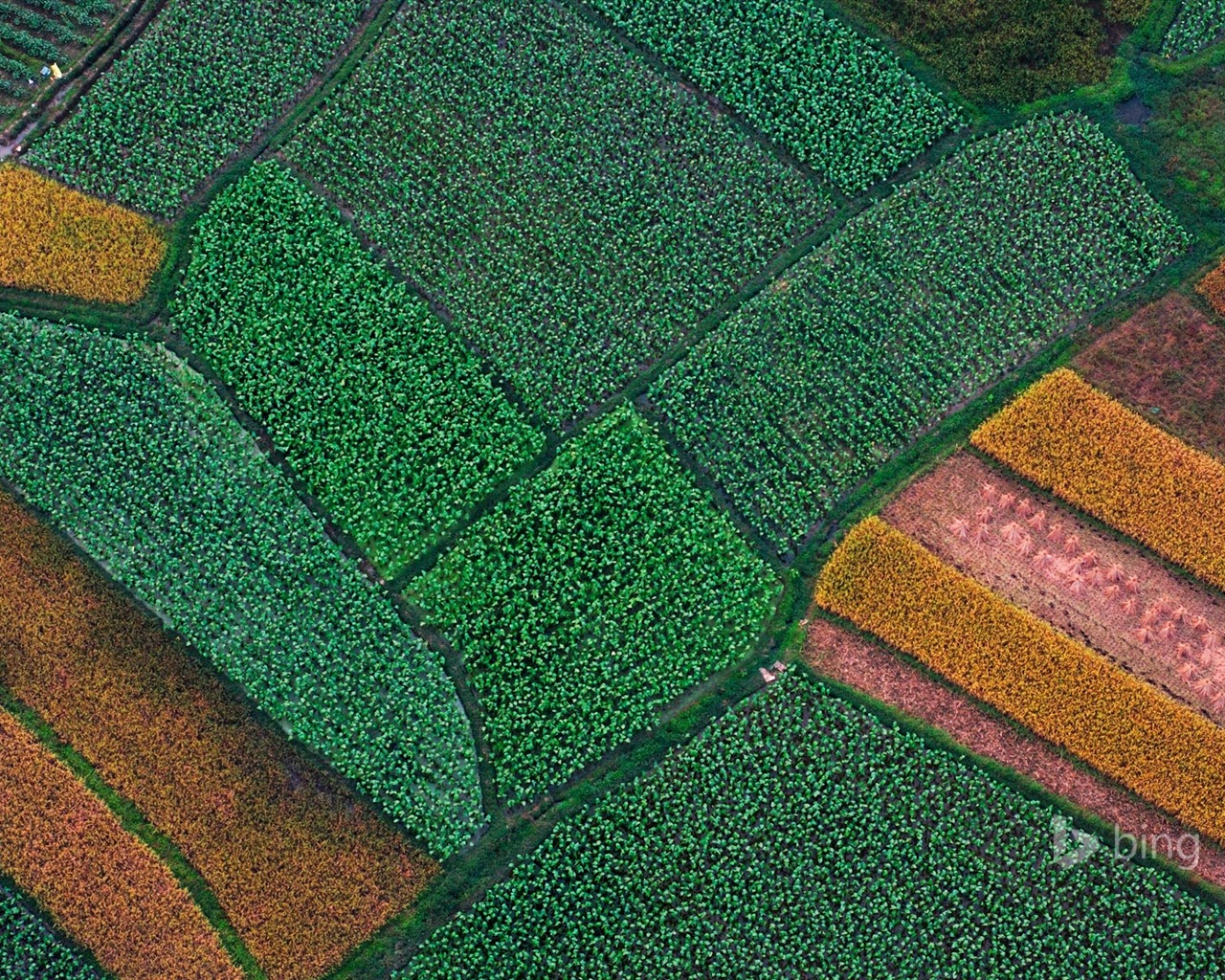 Abril de 2015 fondos de pantalla HD Bing #16 - 1280x1024