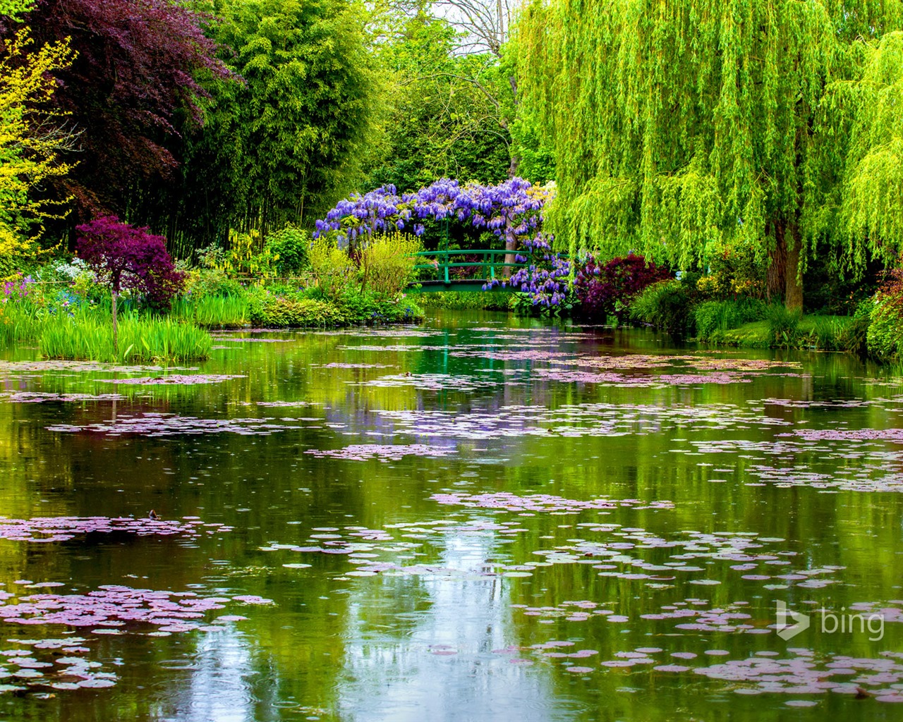 Dubna 2015 Bing HD tapety na plochu #24 - 1280x1024