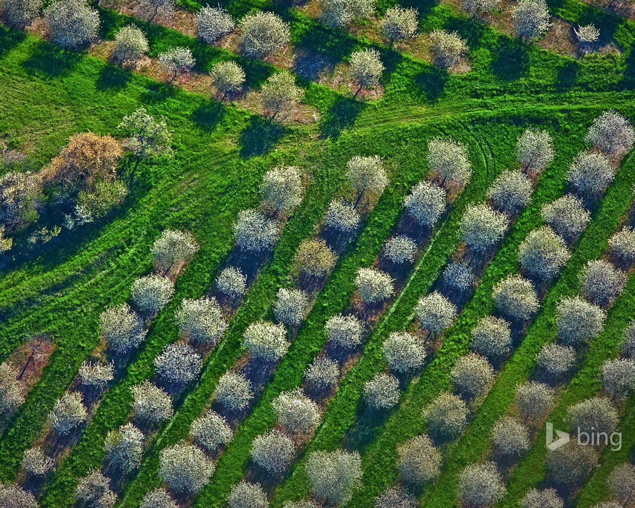 2015年5月 Bing必應高清壁紙 #4 - 1280x1024