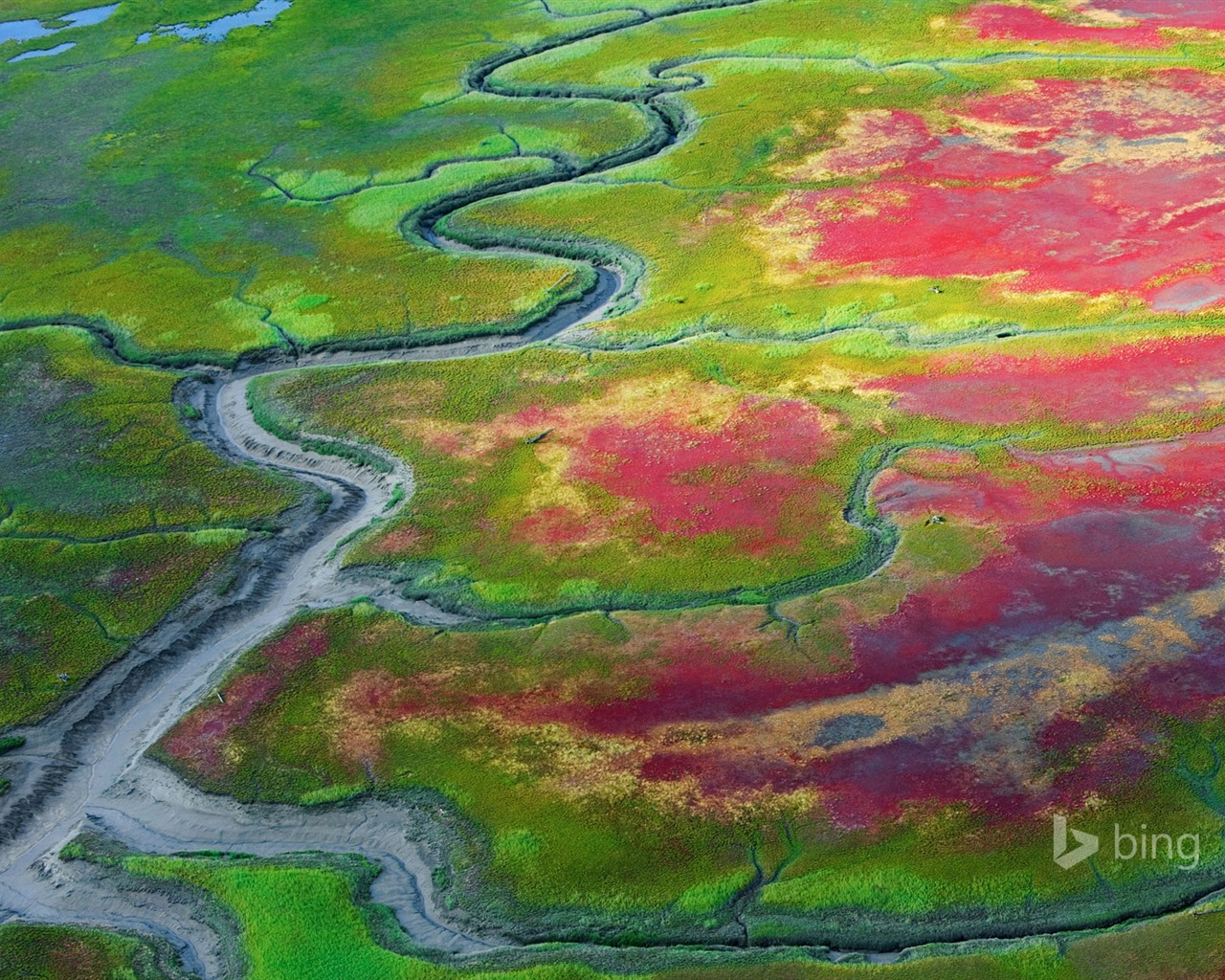 Května 2015 Bing HD tapety na plochu #24 - 1280x1024