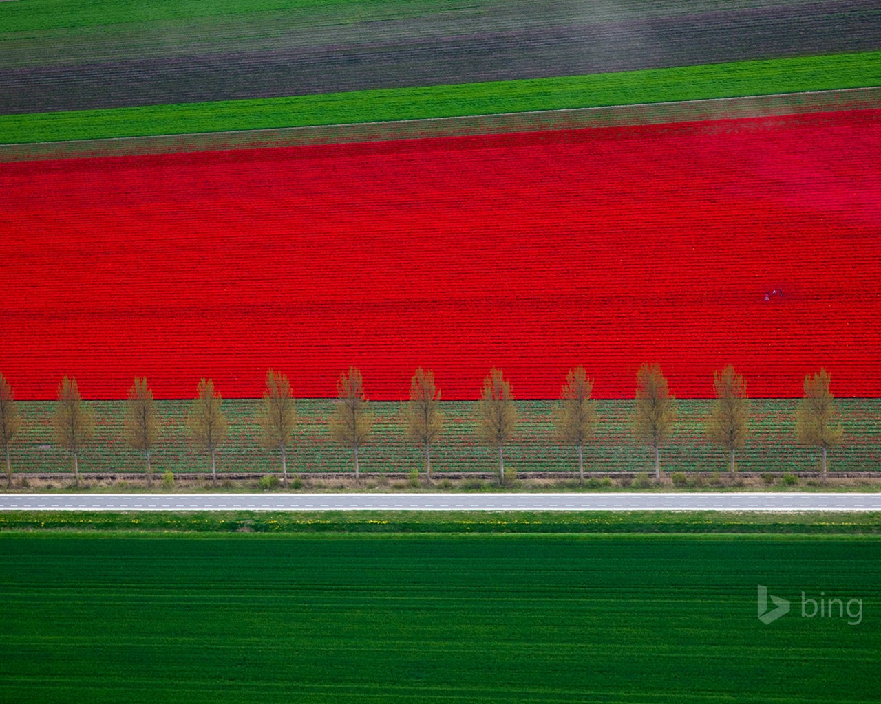 Mai 2015 fonds d'écran HD Bing #30 - 1280x1024