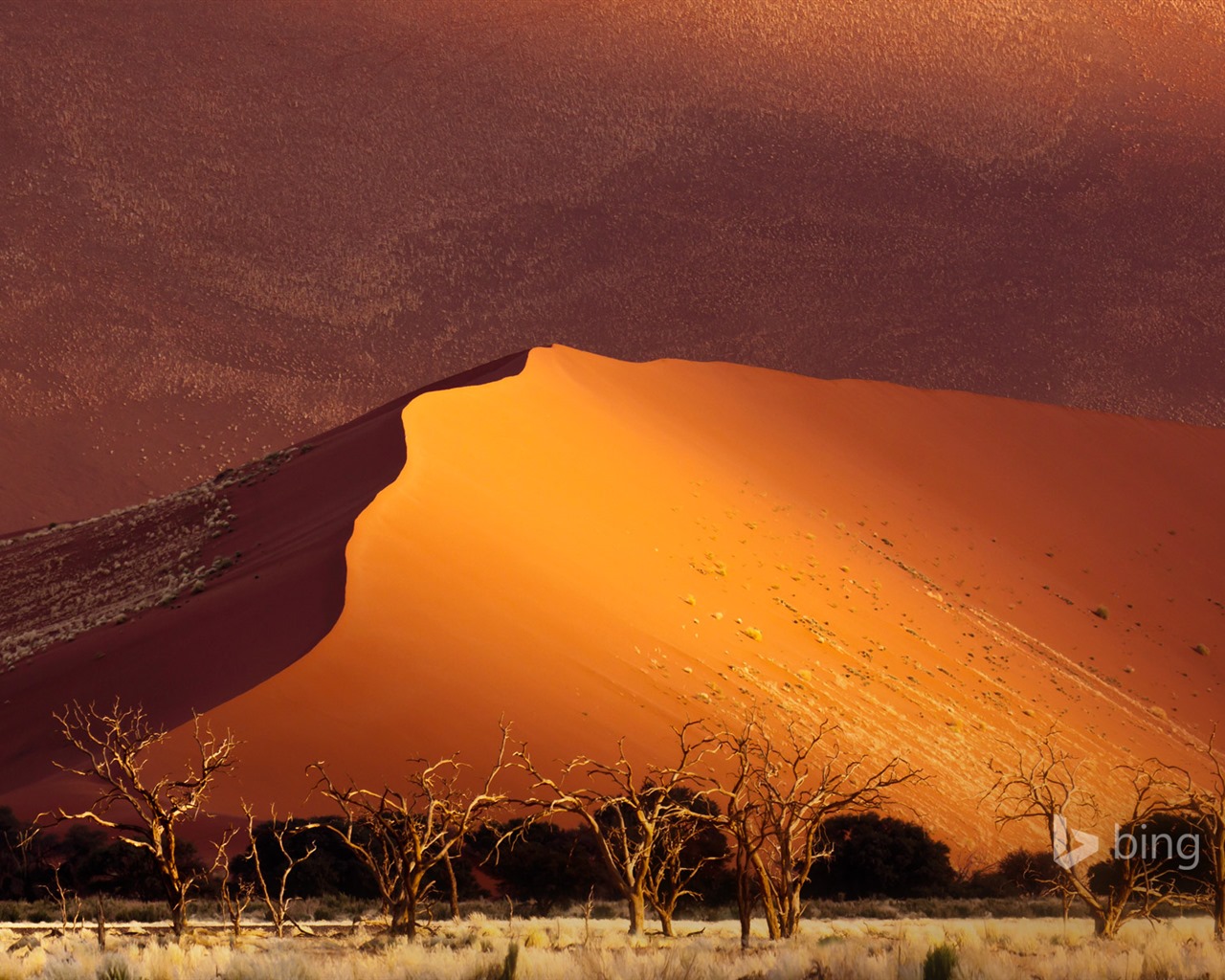 Mai 2015 fonds d'écran HD Bing #31 - 1280x1024