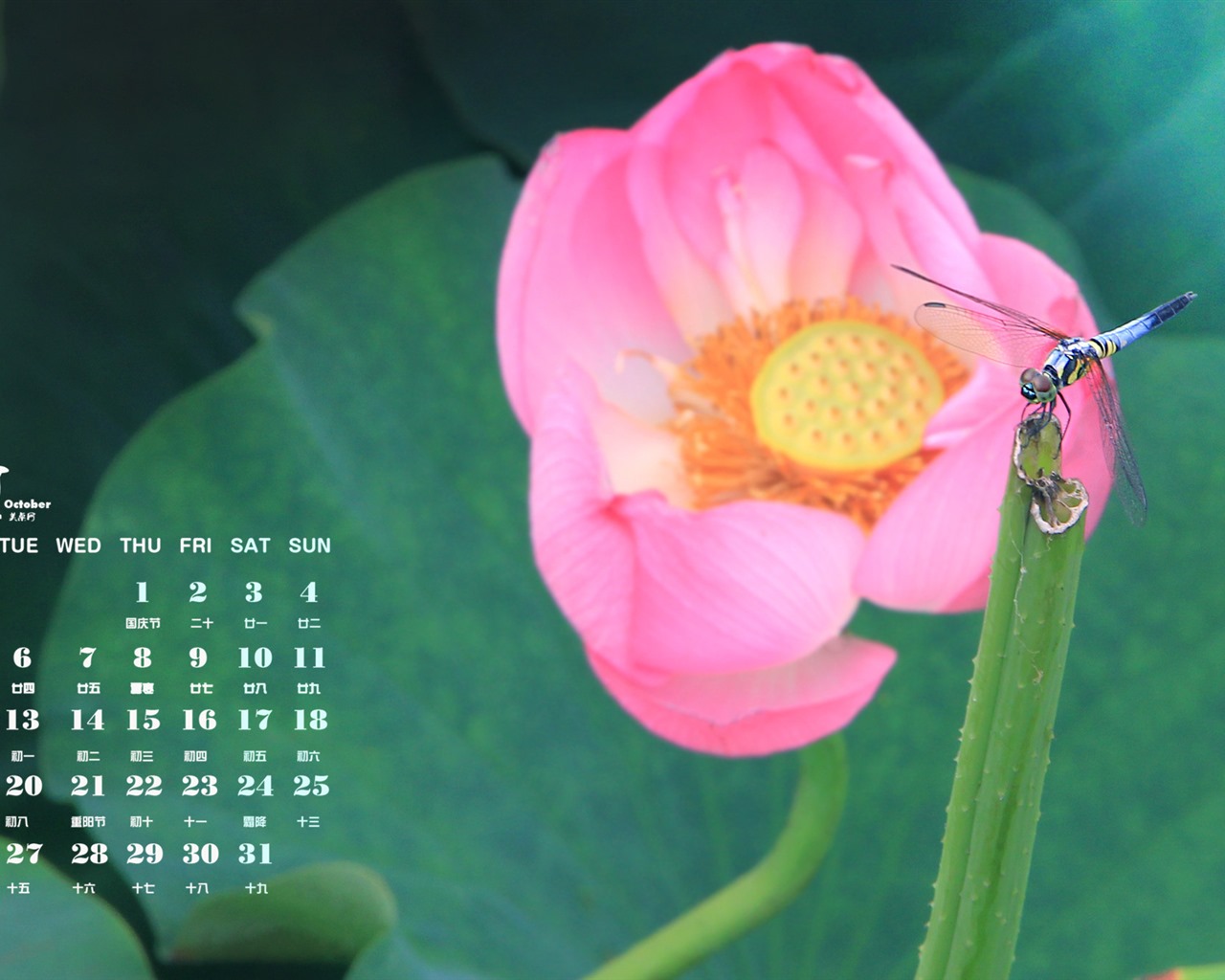 Oktober 2015 Kalender Wallpaper (1) #8 - 1280x1024