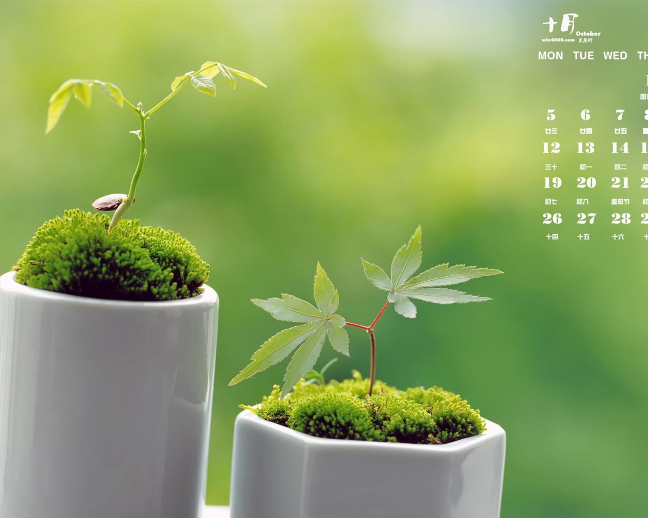 Října 2015 kalendář tapety (1) #18 - 1280x1024