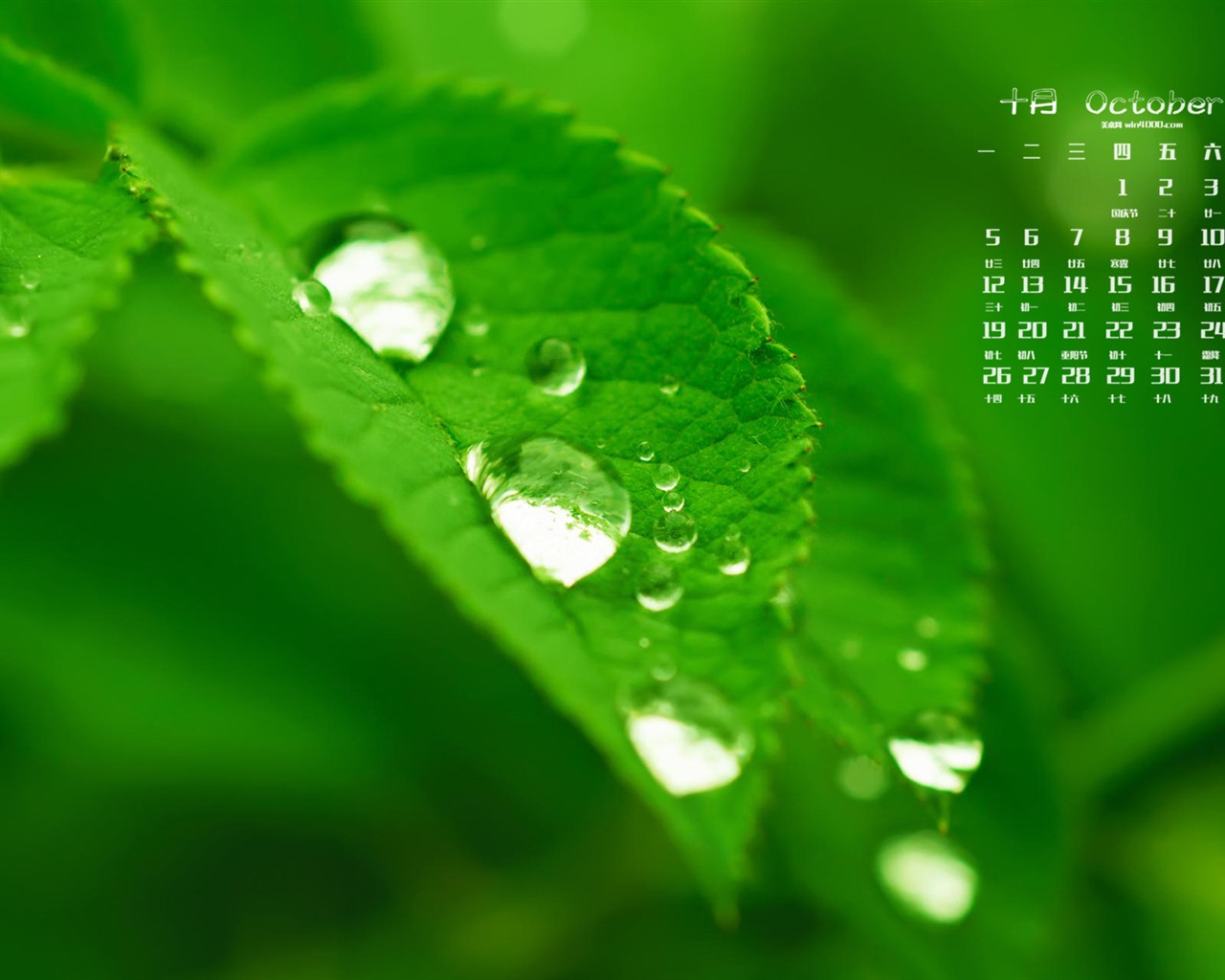 Října 2015 kalendář tapety (2) #5 - 1280x1024