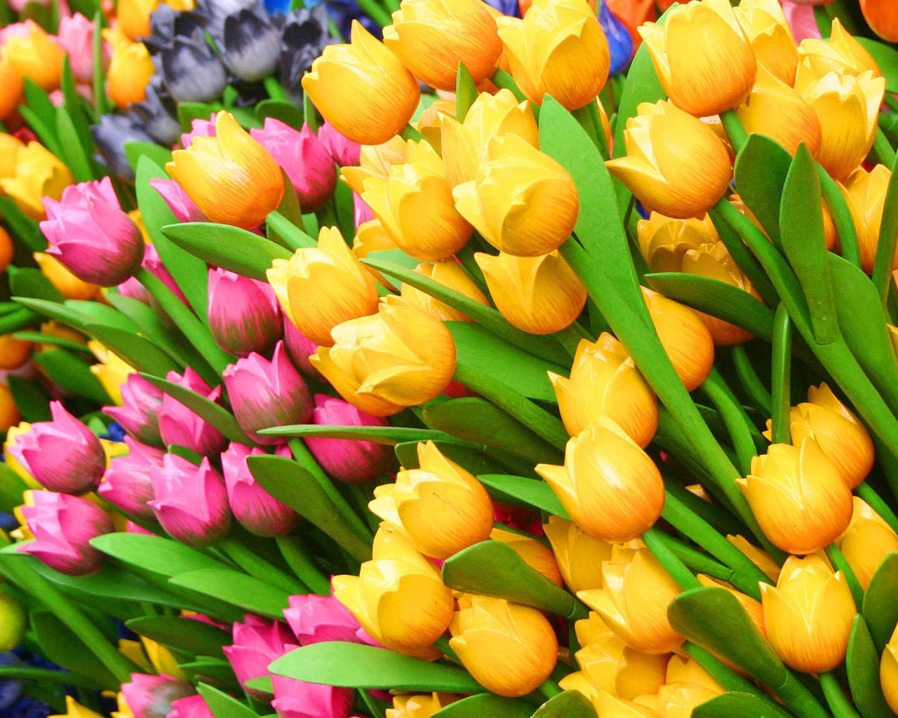 Fonds d'écran HD tulipes fleurs fraîches et colorées #1 - 1280x1024