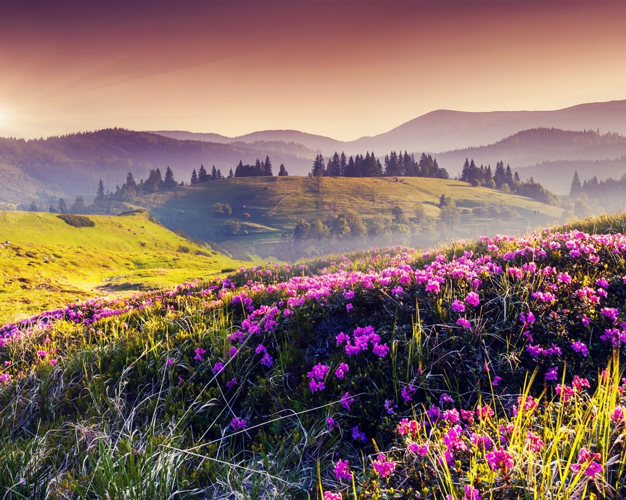 Les arbres, les montagnes, l'eau, lever et coucher du paysage de nature, fonds d'écran HD #31 - 1280x1024