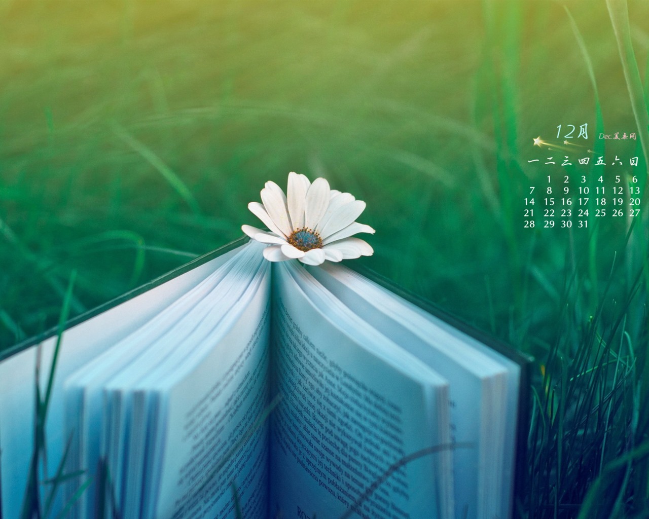 December 2015 Calendar wallpaper (1) #1 - 1280x1024