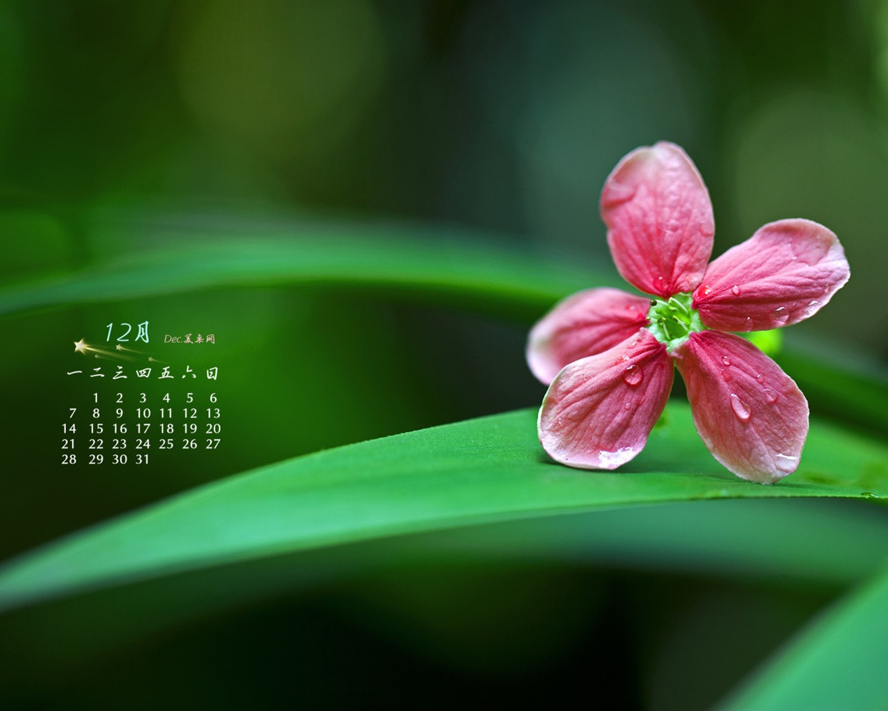 2015年12月 月曆壁紙(一) #3 - 1280x1024