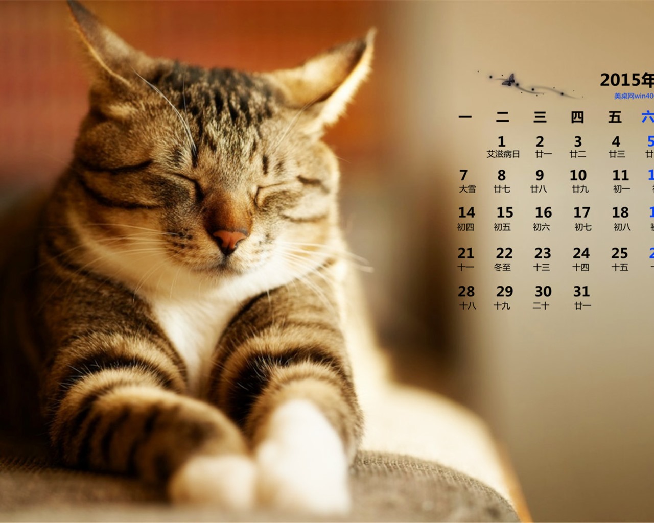 2015年12月 月曆壁紙(一) #14 - 1280x1024