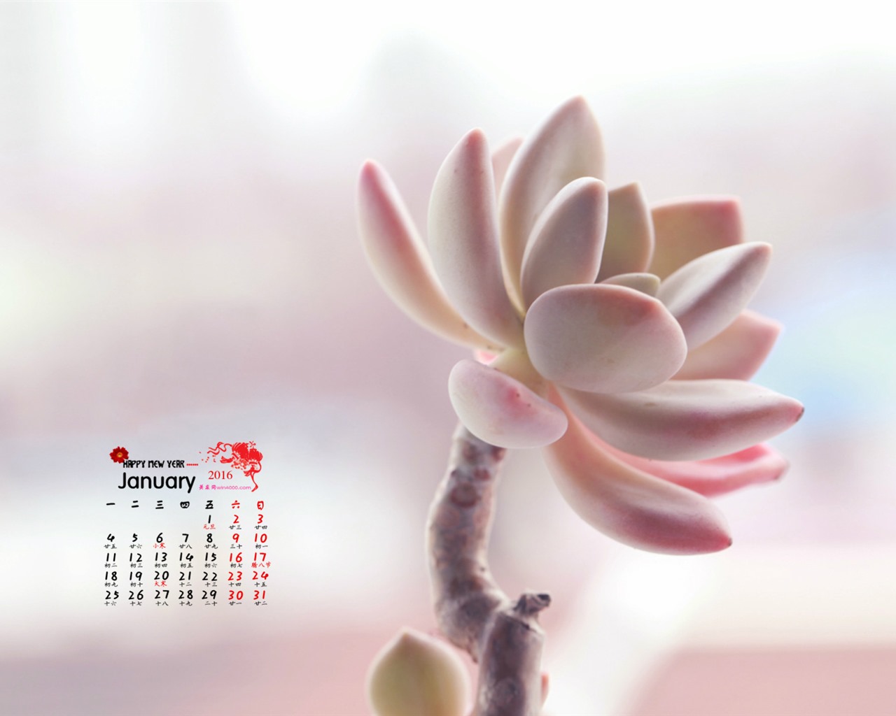 2016年1月 月曆壁紙(一) #4 - 1280x1024
