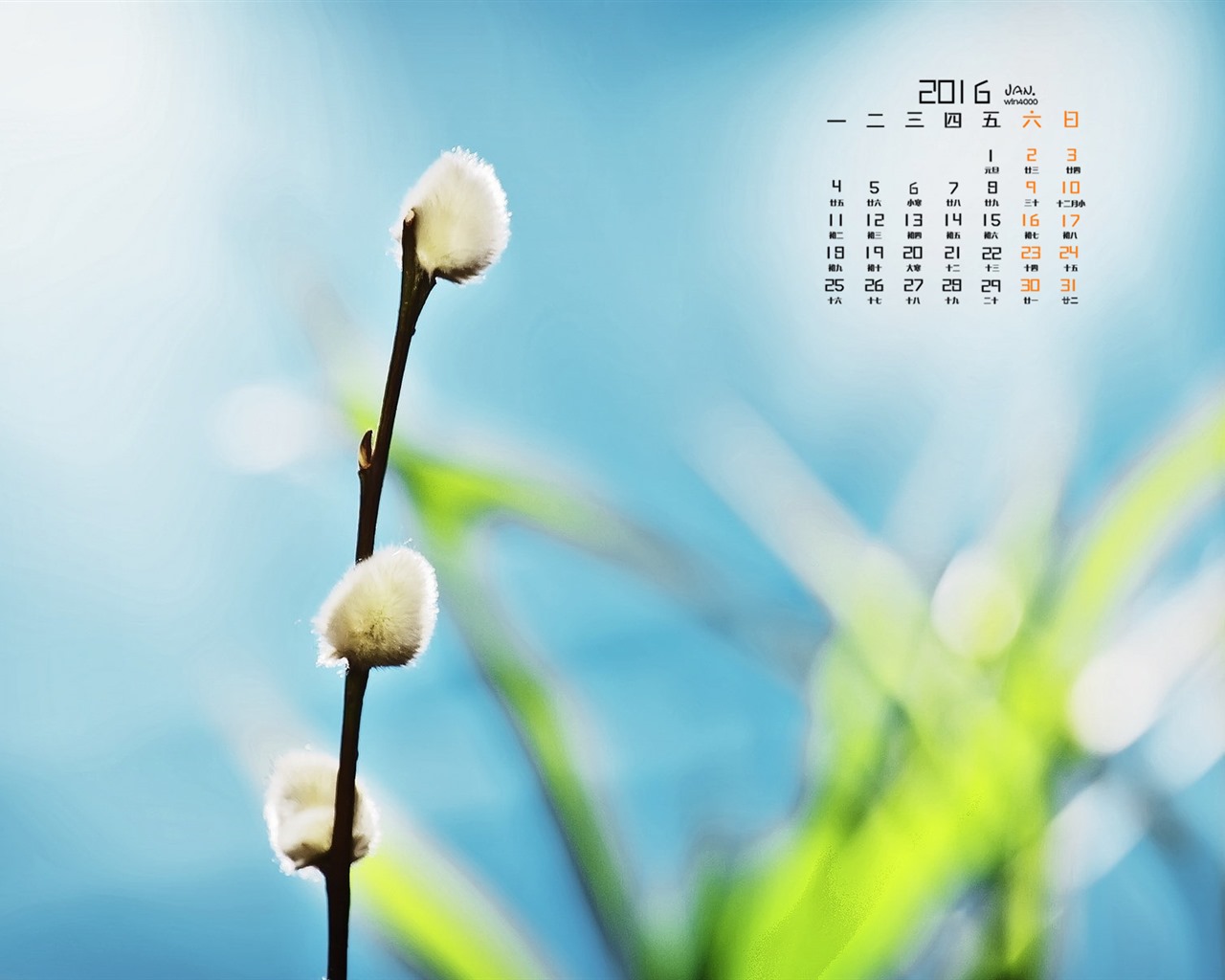 2016年1月 月曆壁紙(一) #10 - 1280x1024