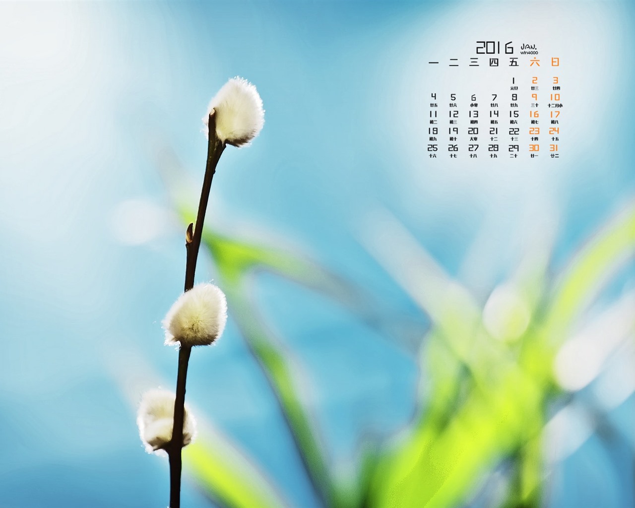 Januar 2016 Kalender Wallpaper (1) #10 - 1280x1024