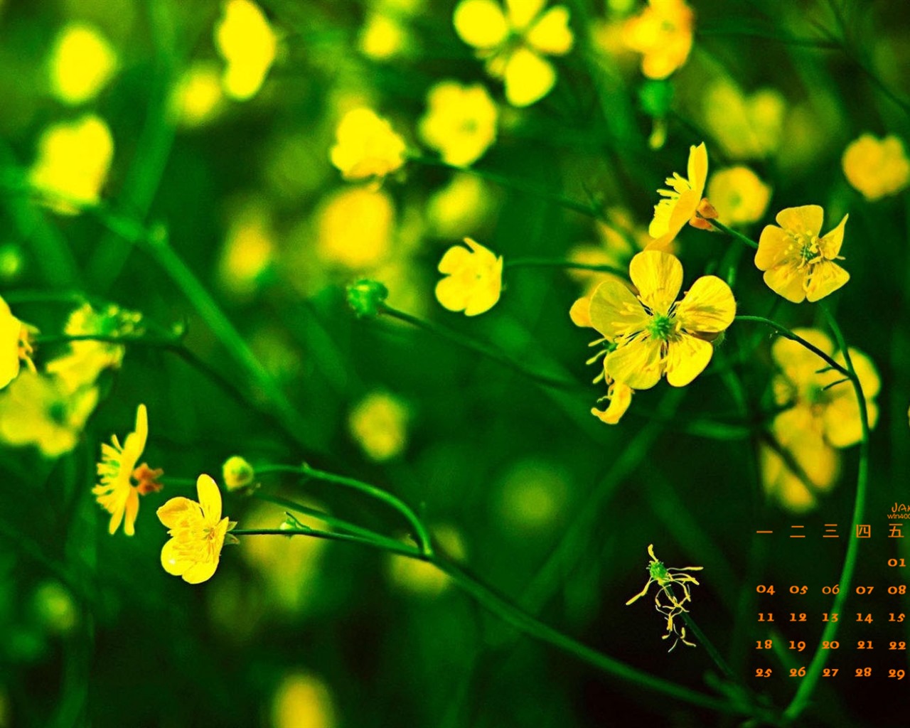 January 2016 calendar wallpaper (1) #12 - 1280x1024