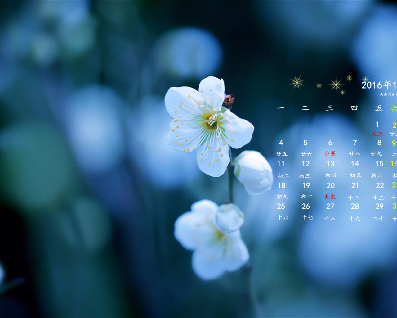 Januar 2016 Kalender Wallpaper (1) #19 - 1280x1024