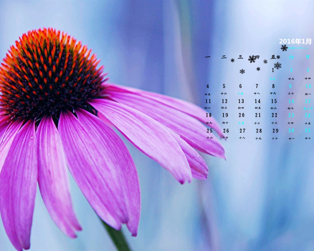 Januar 2016 Kalender Wallpaper (2) #5 - 1280x1024