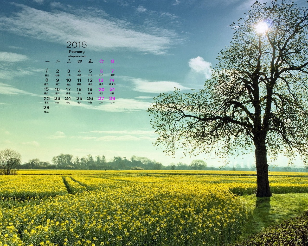 2016年2月 月曆壁紙(一) #5 - 1280x1024