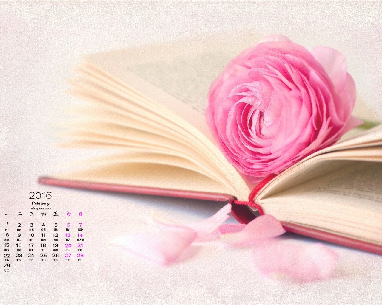 Februar 2016 Kalender Wallpaper (1) #12 - 1280x1024