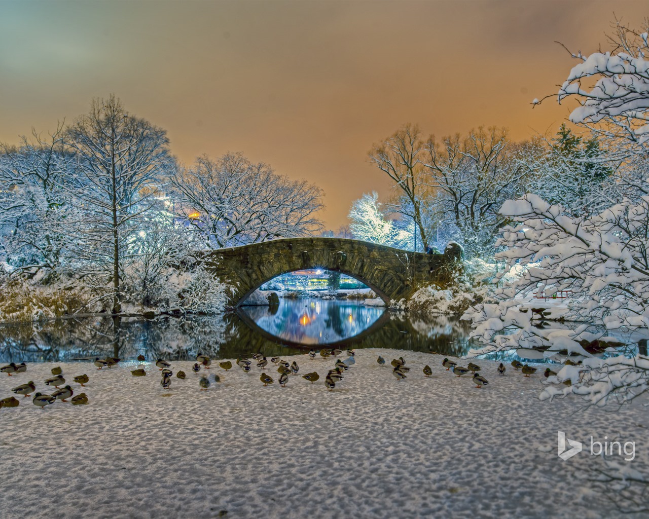 Ledna 2016 Bing téma HD tapety na plochu #18 - 1280x1024