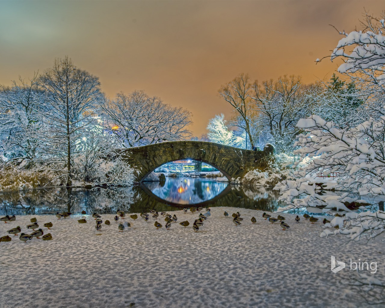 De enero de 2016 fondos de pantalla HD tema de Bing #18 - 1280x1024