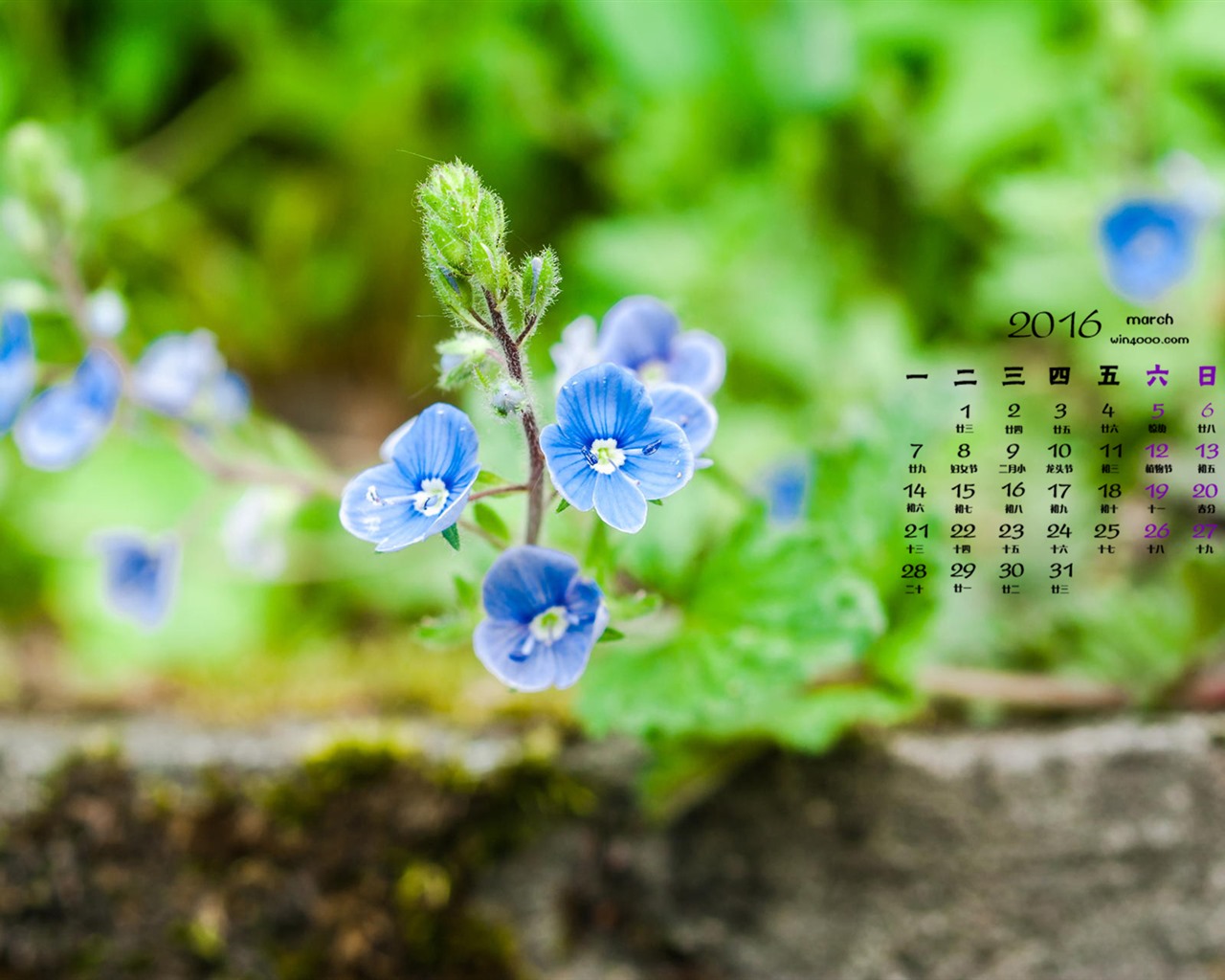 De marzo de fondo de pantalla de calendario el año 2016 (1) #10 - 1280x1024