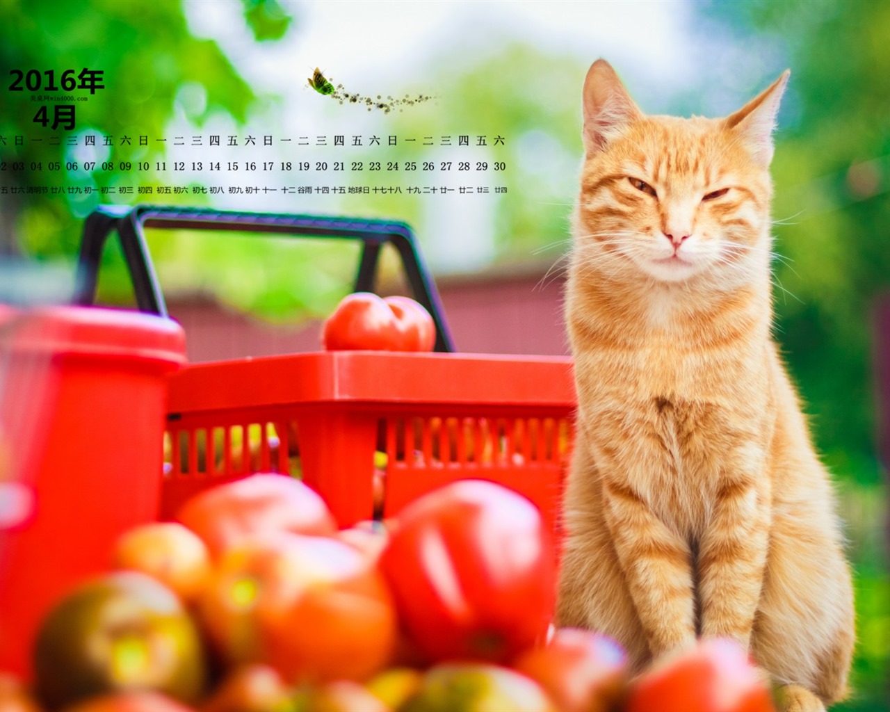 April 2016 calendar wallpaper (2) #7 - 1280x1024