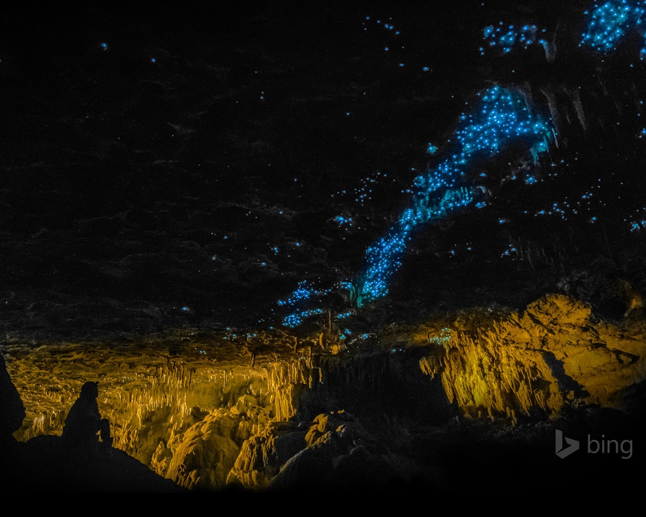 Únor 2016 Bing téma HD tapety na plochu #14 - 1280x1024