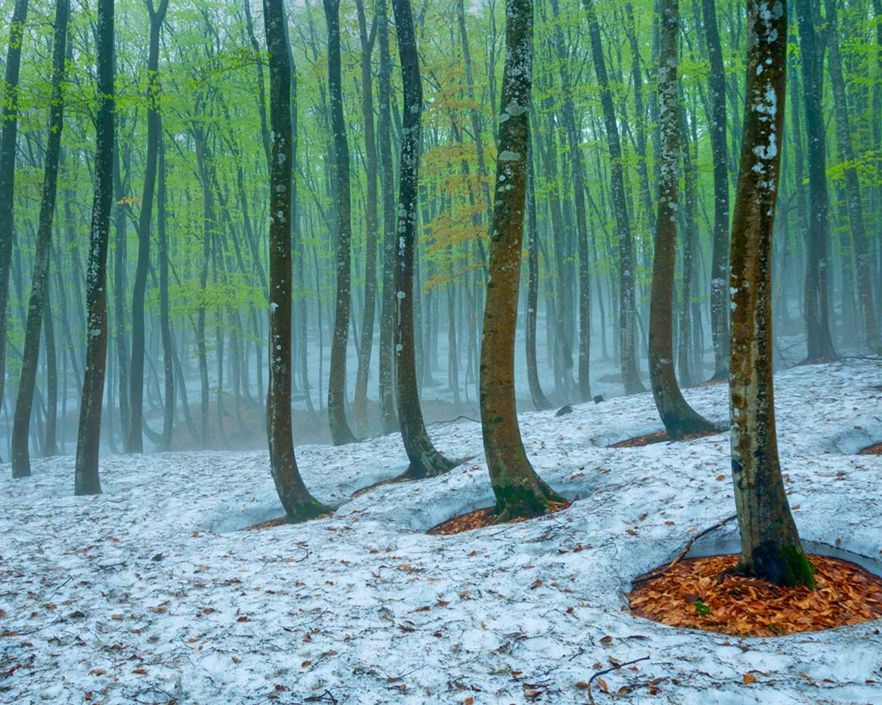 Března 2016 Bing téma HD tapety na plochu #34 - 1280x1024
