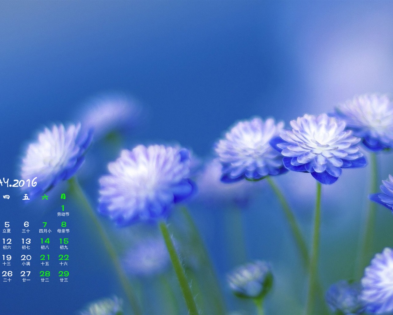 May 2016 calendar wallpaper (1) #14 - 1280x1024