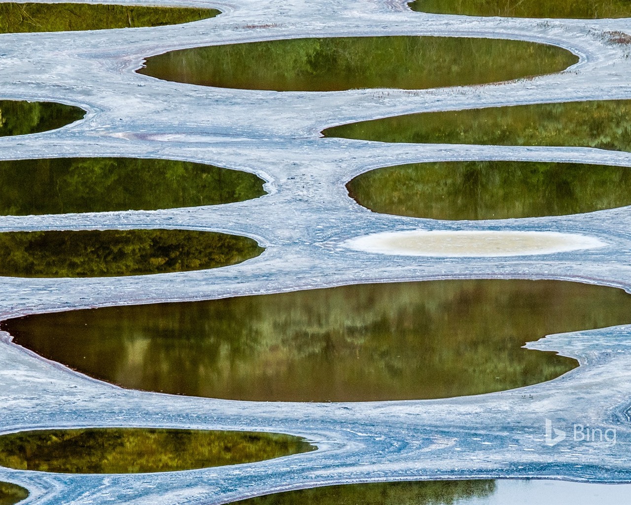 Duben 2016 Bing téma HD tapety na plochu #8 - 1280x1024