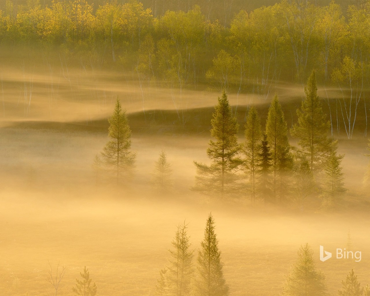 Duben 2016 Bing téma HD tapety na plochu #14 - 1280x1024