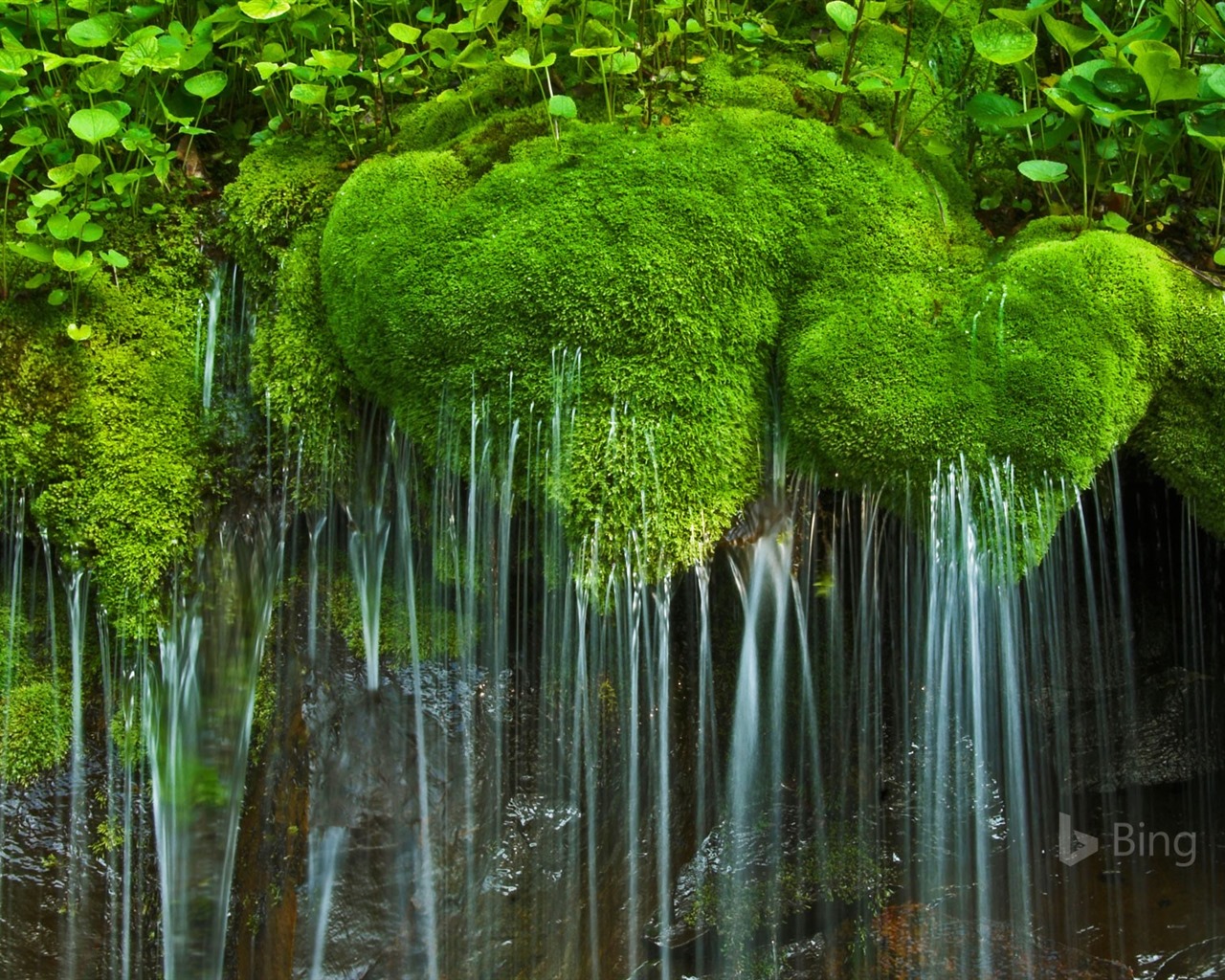 Abril de 2016 fondos de pantalla HD tema de Bing #16 - 1280x1024