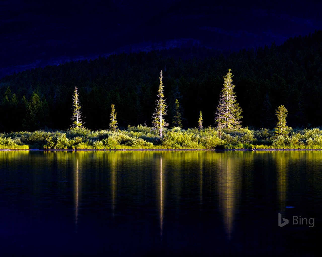 Duben 2016 Bing téma HD tapety na plochu #17 - 1280x1024