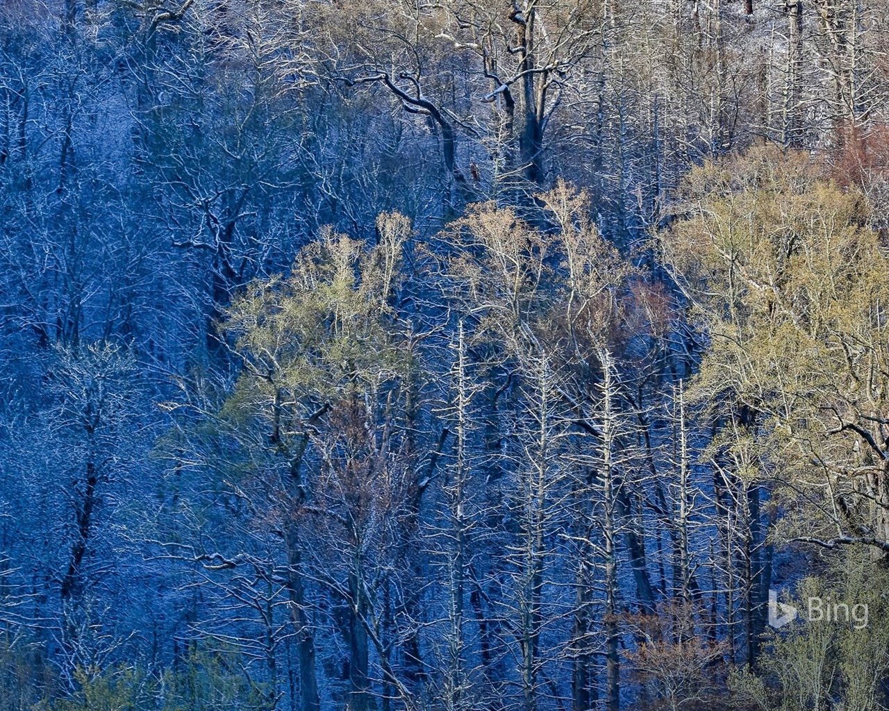 Duben 2016 Bing téma HD tapety na plochu #20 - 1280x1024