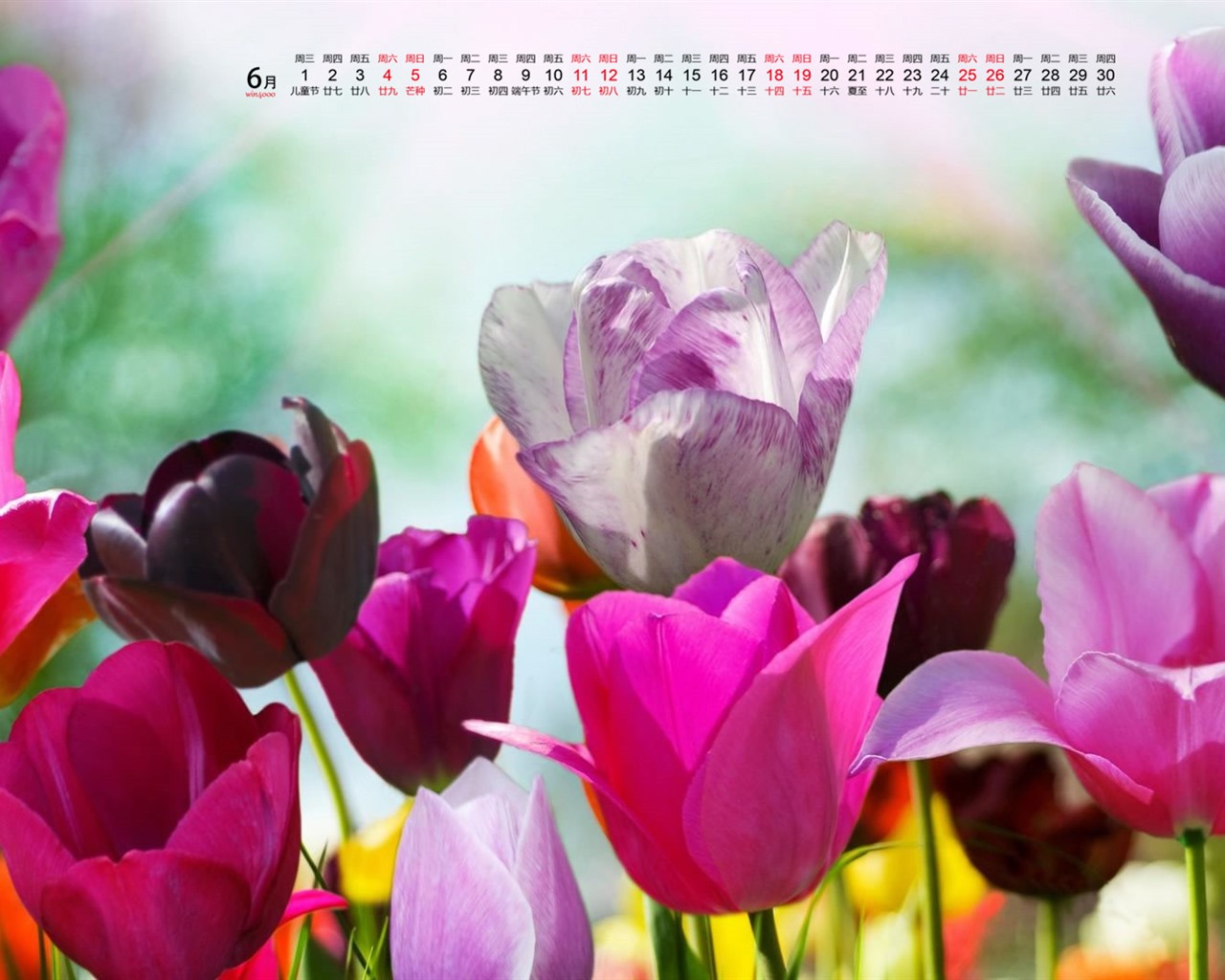 De junio de el año 2016 fondo de pantalla de calendario (1) #8 - 1280x1024