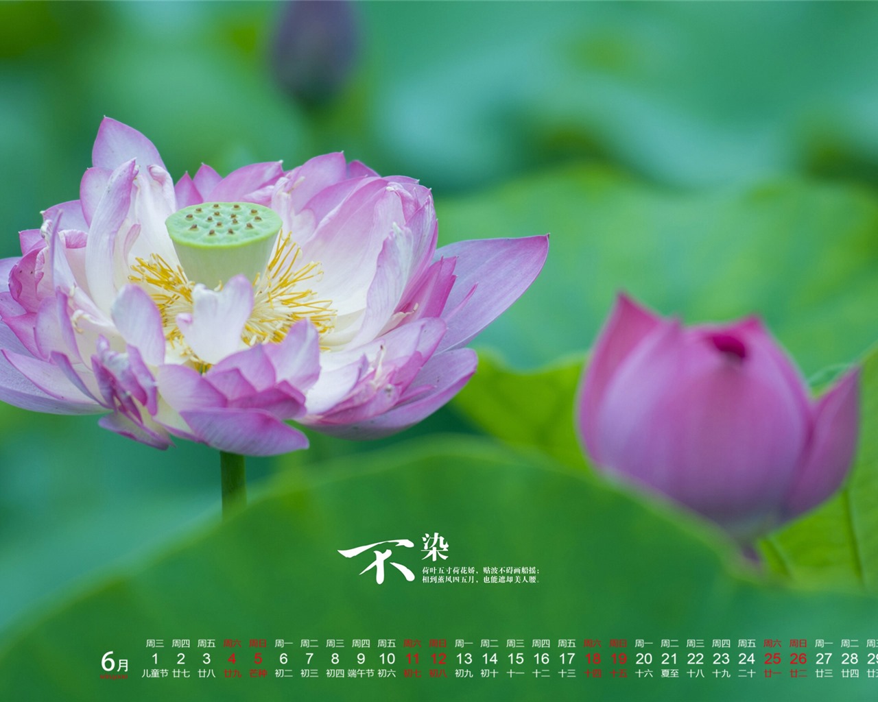 De junio de el año 2016 fondo de pantalla de calendario (1) #10 - 1280x1024