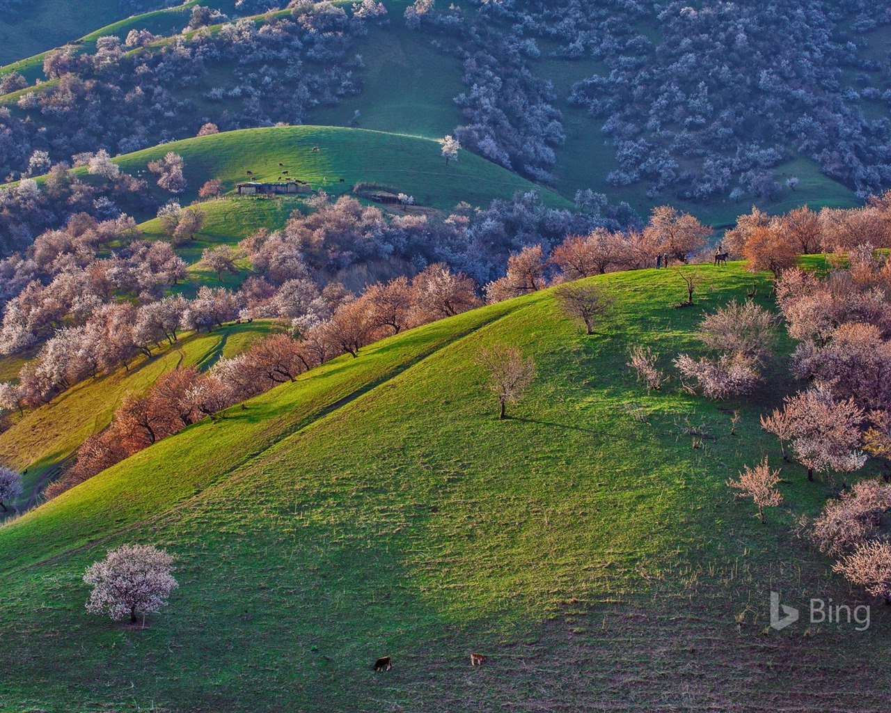 Května 2016 Bing téma HD tapety na plochu #10 - 1280x1024