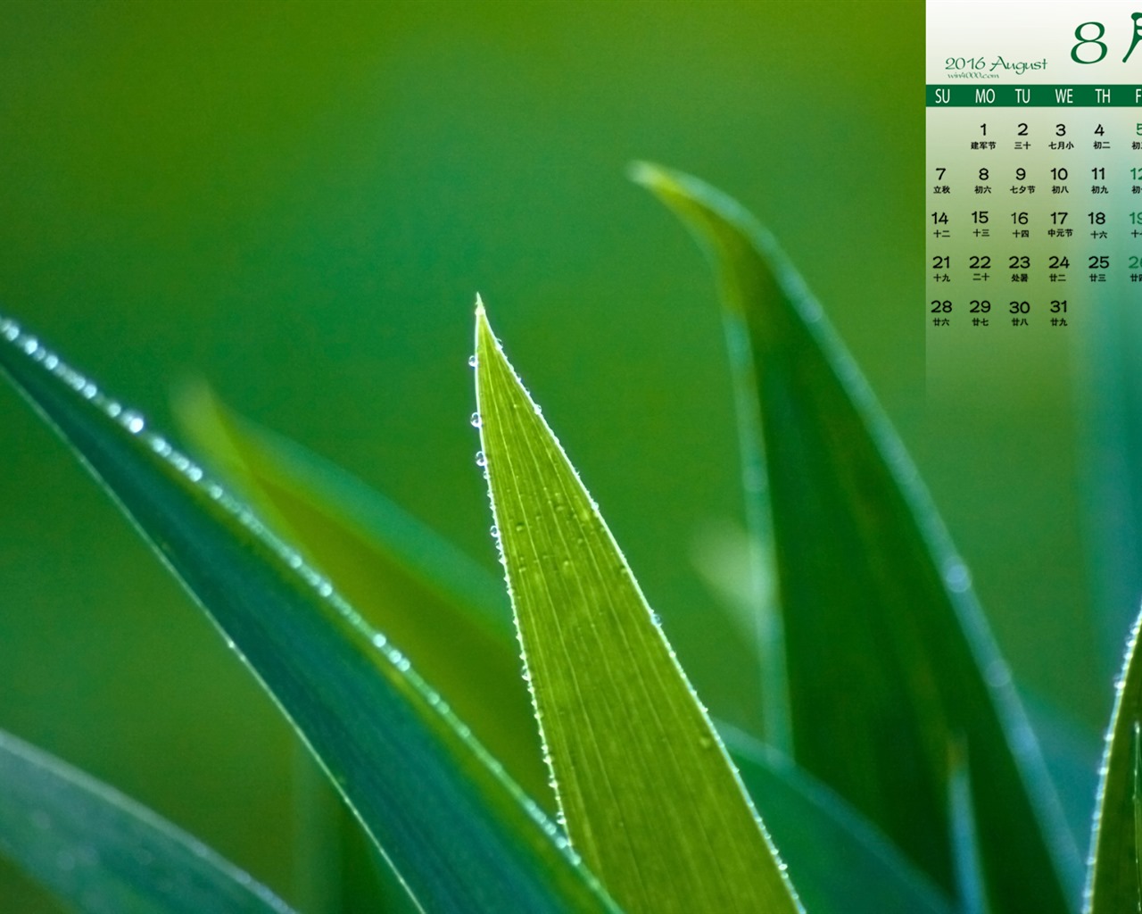 De agosto de el año 2016 fondo de pantalla de calendario (1) #12 - 1280x1024