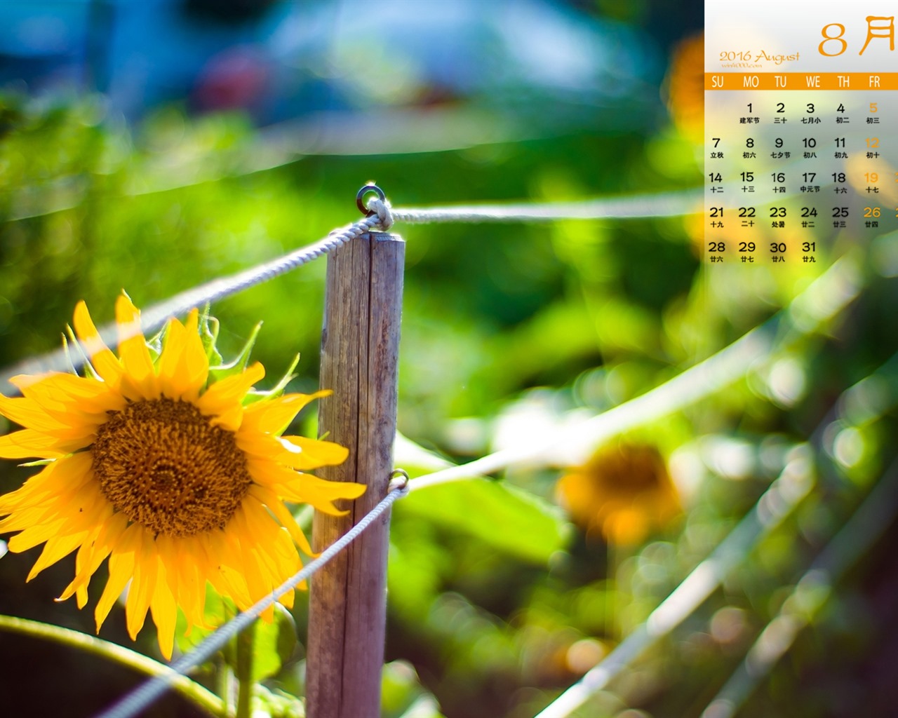 De agosto de el año 2016 fondo de pantalla de calendario (1) #13 - 1280x1024