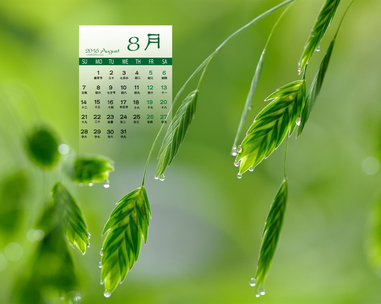 August 2016 calendar wallpaper (2) #6 - 1280x1024