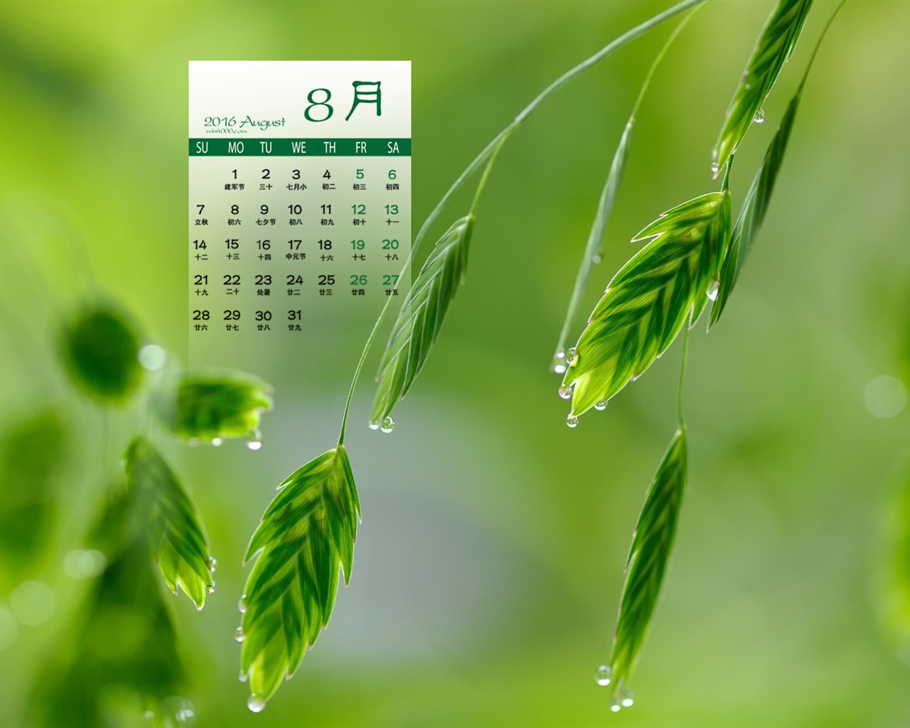 August 2016 Kalender Wallpaper (2) #6 - 1280x1024