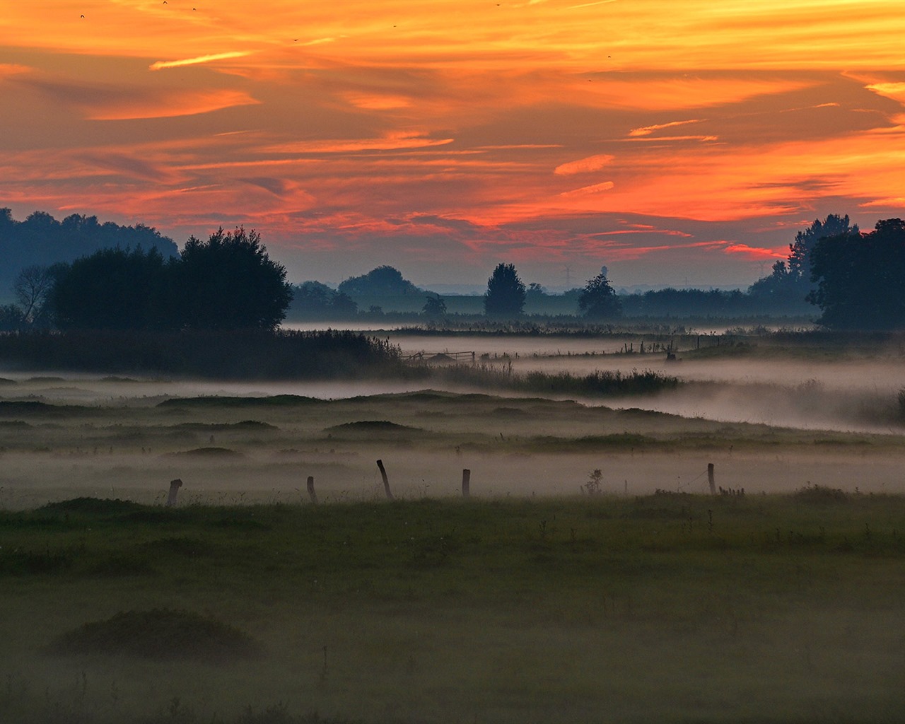 Června 2016 Bing téma HD tapety na plochu (2) #4 - 1280x1024