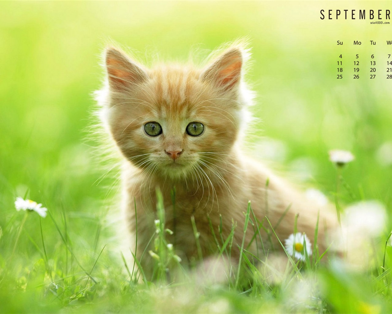 September 2016 Kalender Wallpaper (1) #6 - 1280x1024